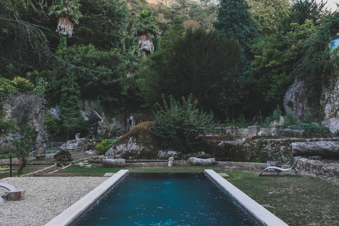 luxury home garden with pool