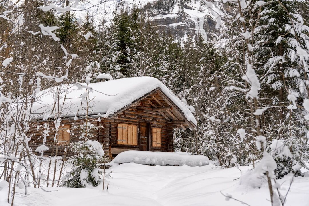 Traditional Swiss alpine chalet exterior surrounded by snow and pine trees